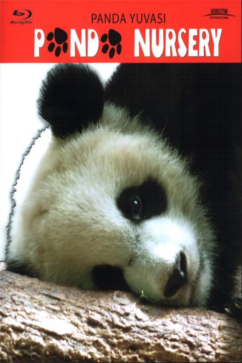 Poster for Panda Nursery