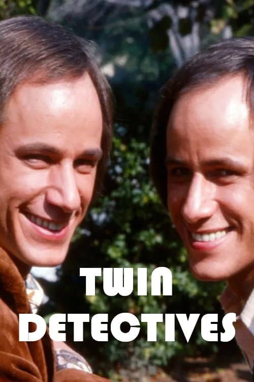 Poster for Twin Detectives