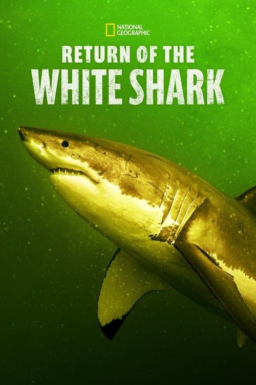 Poster for Return of the White Shark