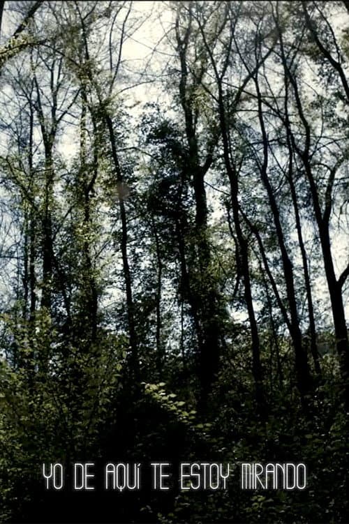 Poster for I'm Always Looking from Here