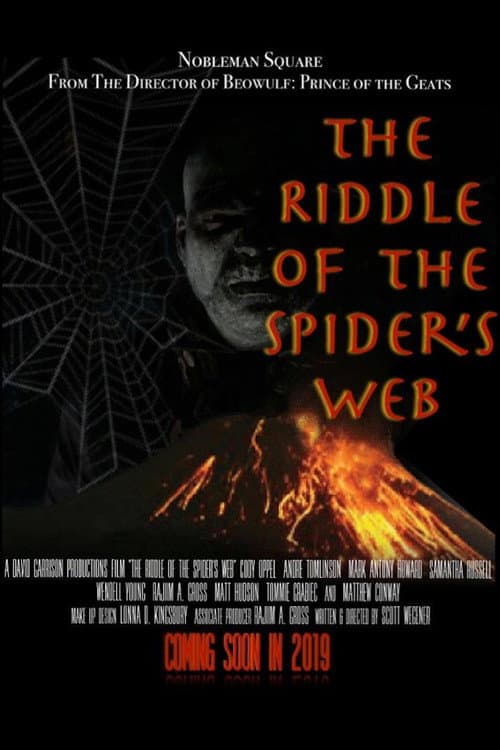 Poster for The Riddle Of The Spider's Web