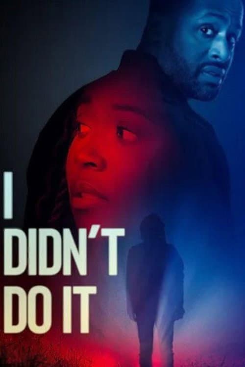 Poster for I Didn't Do It