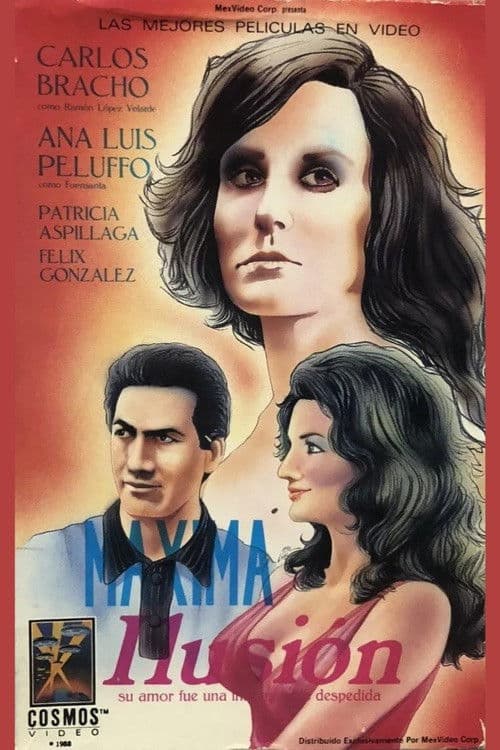 Poster for El vals sin fin