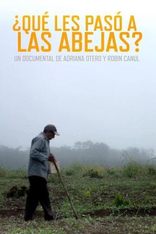 Poster for What Happened to the Bees?