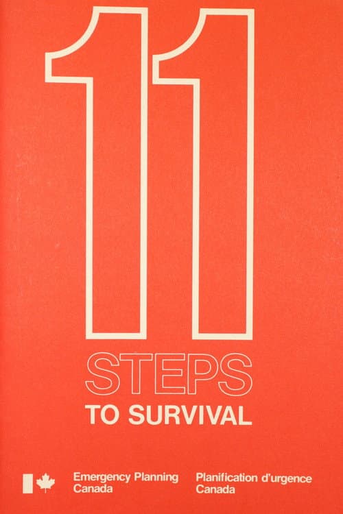 Poster for 11 Steps to Survival