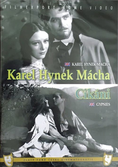 Постер до фільму «Gypsies»