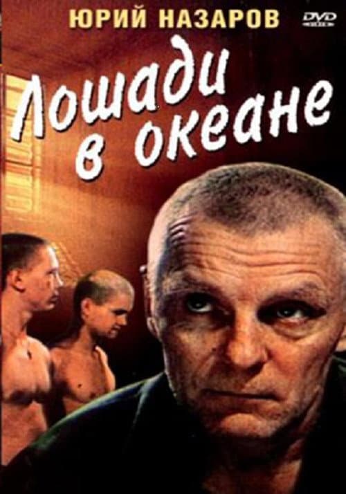 Постер до фільму «Коні в океані»