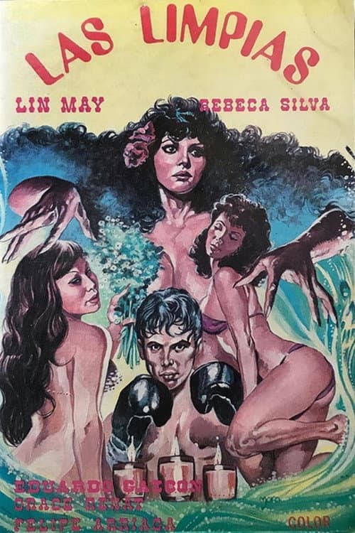 Poster for Las Limpias