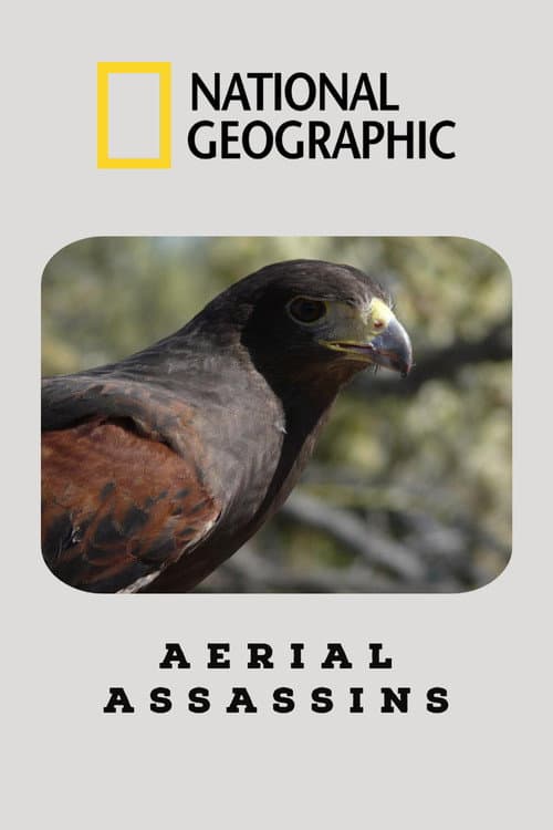 Poster for Aerial Assassins