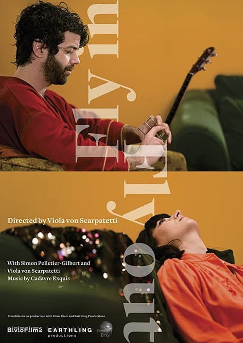 Poster for Fly In Fly Out