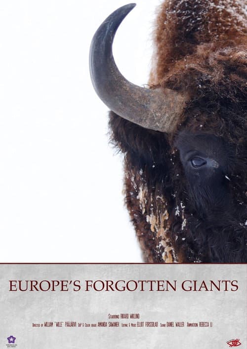 Poster for Europe's Forgotten Giants