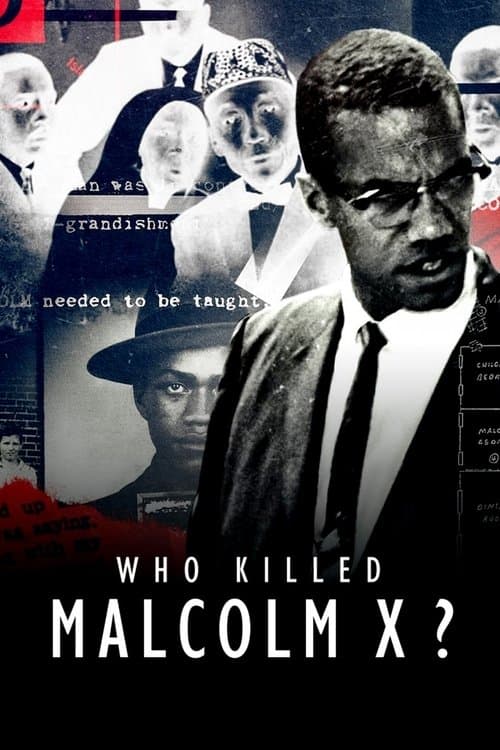 Poster for Who Killed Malcolm X?