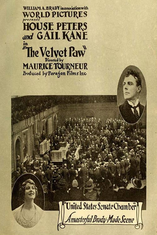 Poster for The Velvet Paw