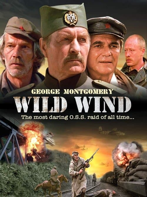 Poster for Wild Wind