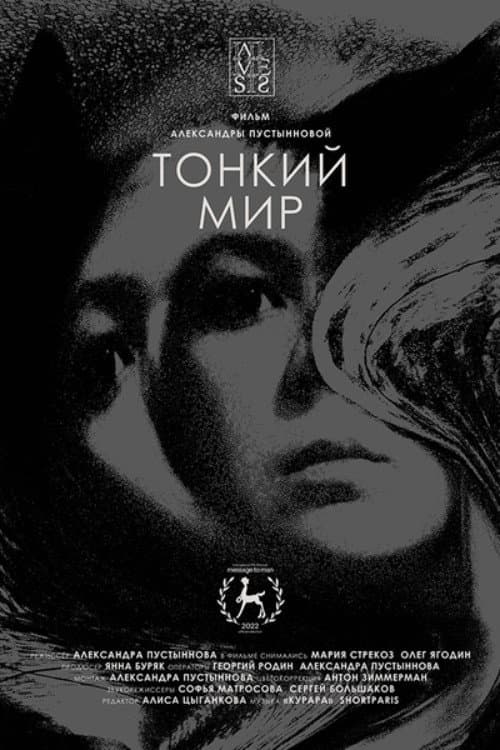 Poster for Subtle World
