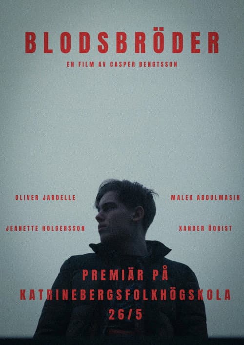 Poster for Blodsbröder
