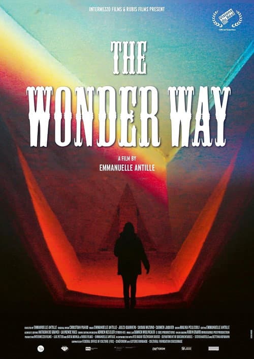 Poster for The Wonder Way