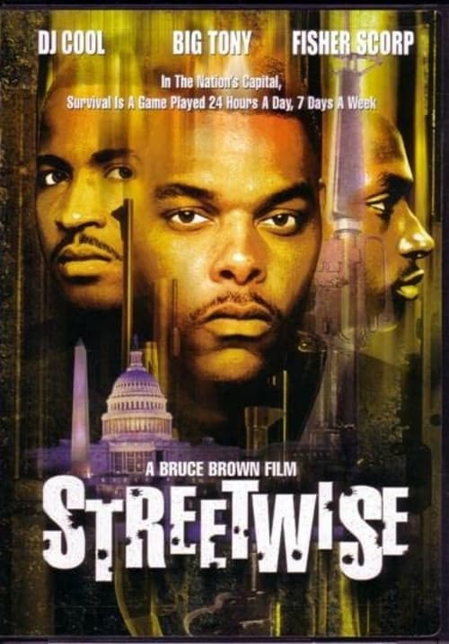 Poster for Streetwise
