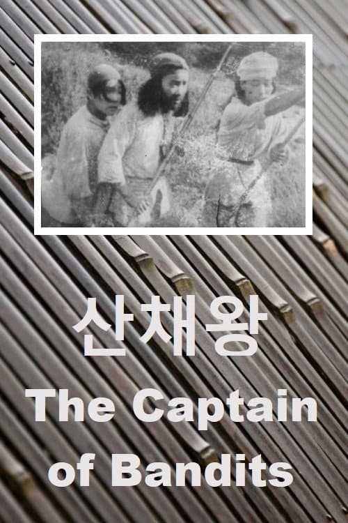 Poster for The Captain of Bandits