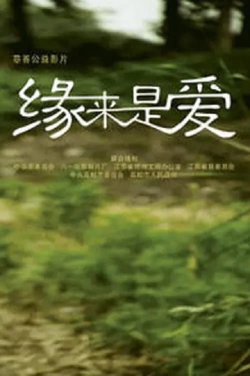 Poster for 缘来是爱
