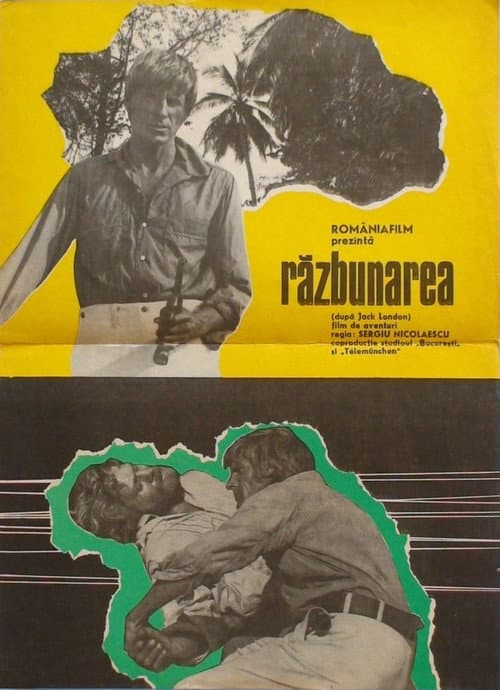 Poster for The Revenge