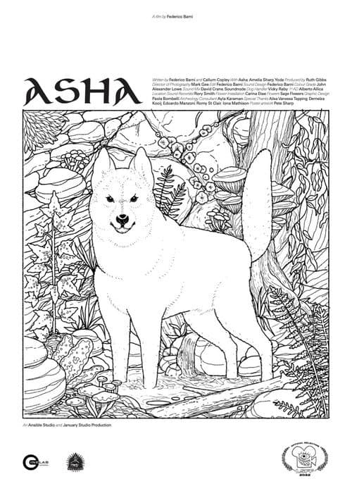 Poster for Asha