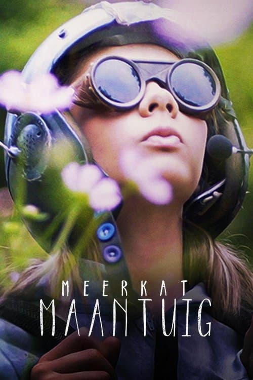 Poster for Meerkat Moonship
