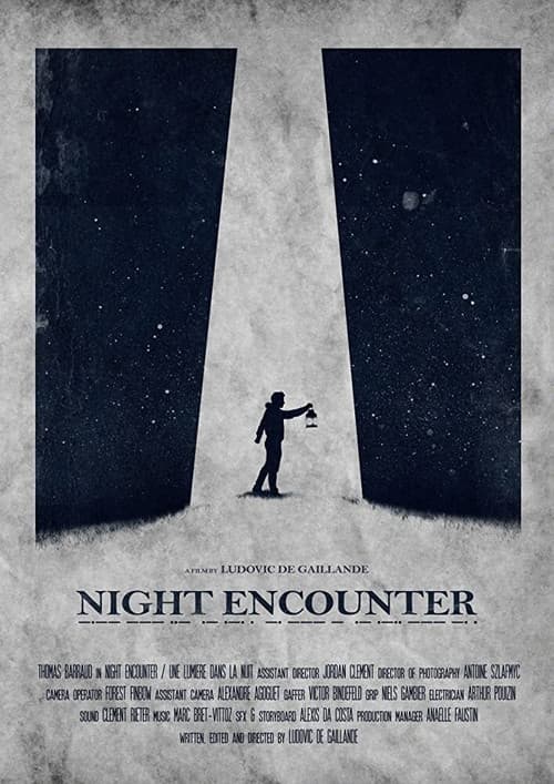 Poster for Night Encounter