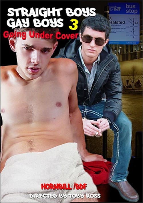 Poster for Straight Boys, Gay Boys 3: Going Under Cover
