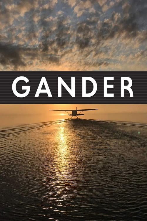 Poster for Gander International: The Airport in the Middle of Nowhere
