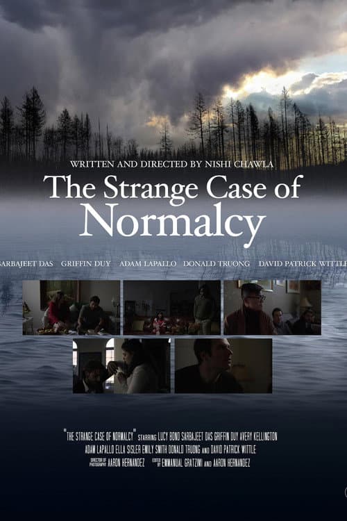 Poster for The Strange Case for Normalcy