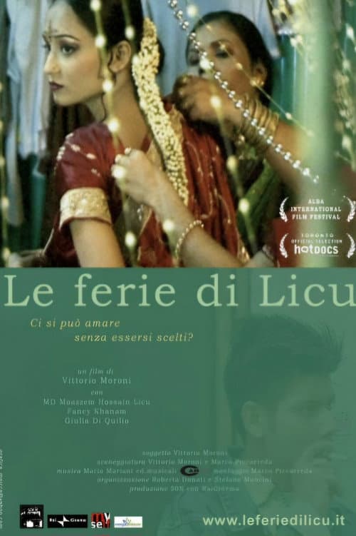 Poster for Licu's holidays