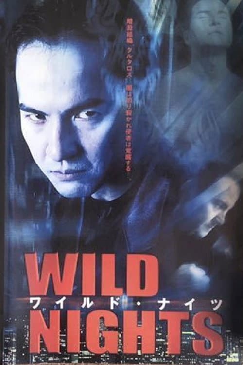 Poster for Wild Nights