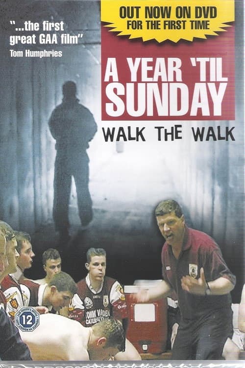 Poster for A Year 'til Sunday