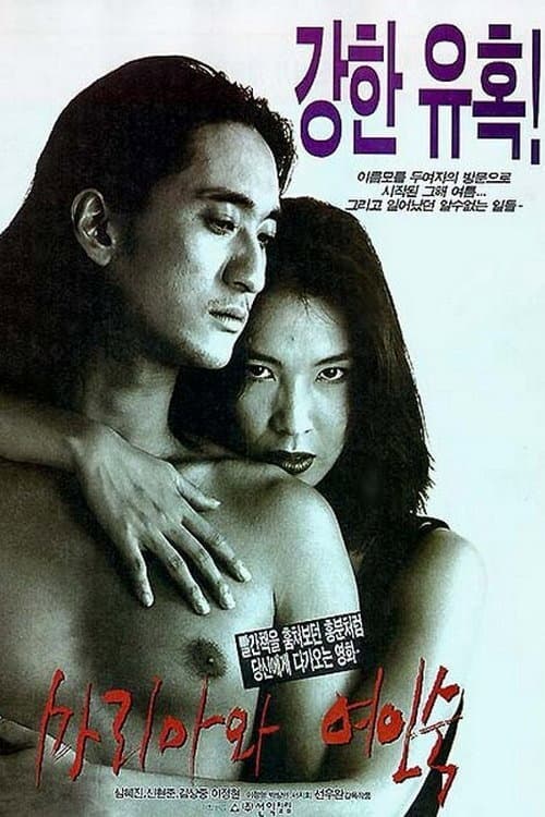 Poster for Maria and the Inn