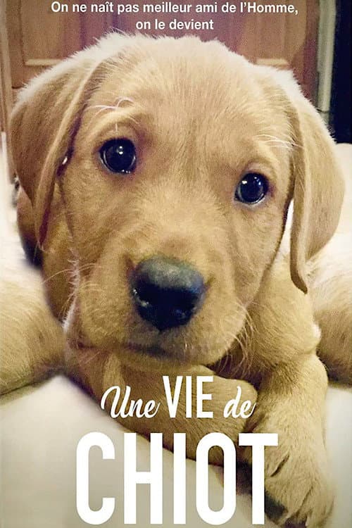 Poster for Une vie de chiot