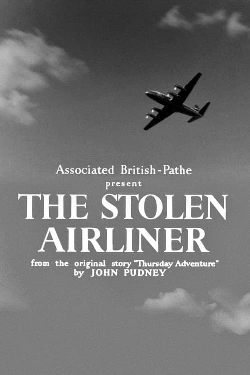 Poster for The Stolen Airliner