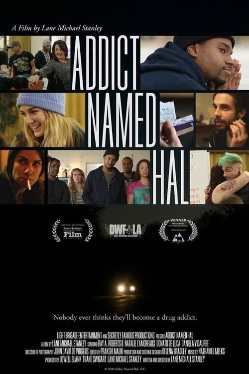 Poster for Addict Named Hal