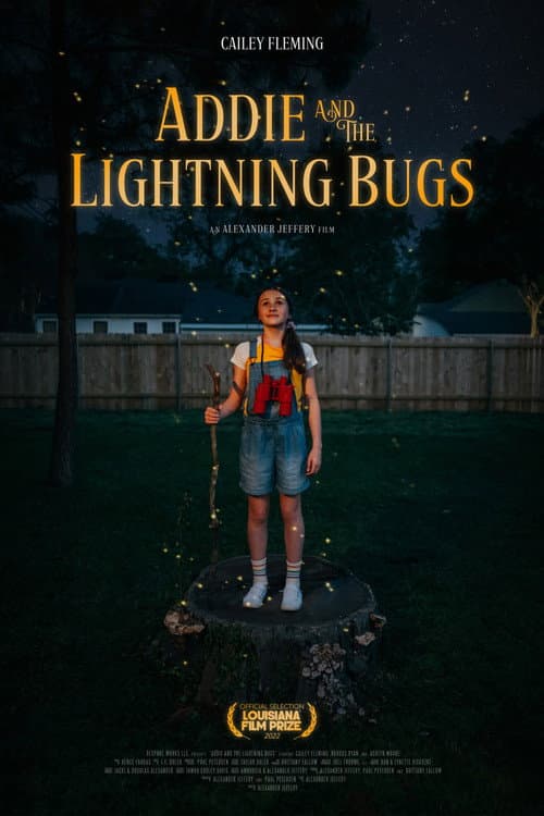 Постер до фільму «Addie and the Lightning Bugs»