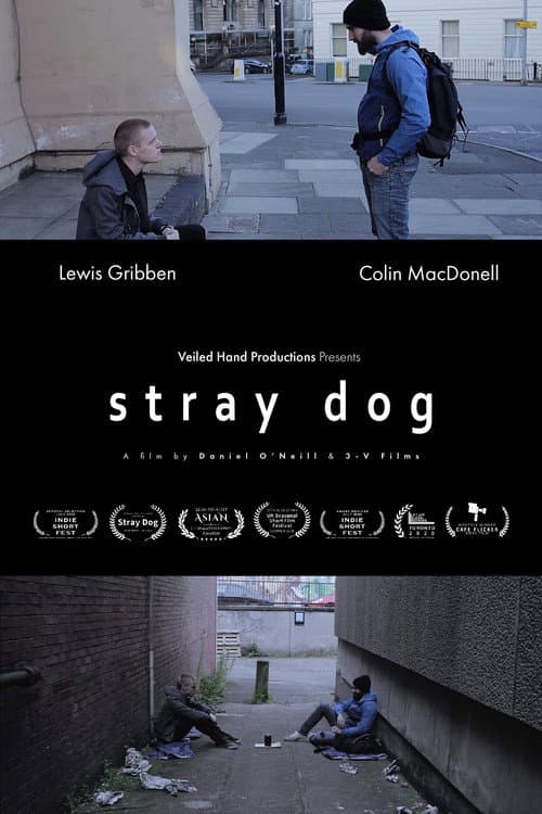Poster for Stray Dog