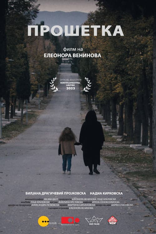 Poster for The Walk