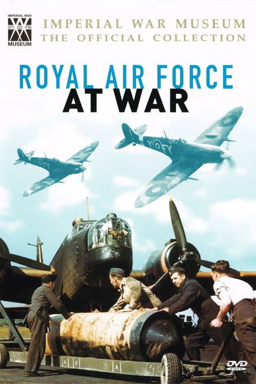 Poster for Royal Air Force at War