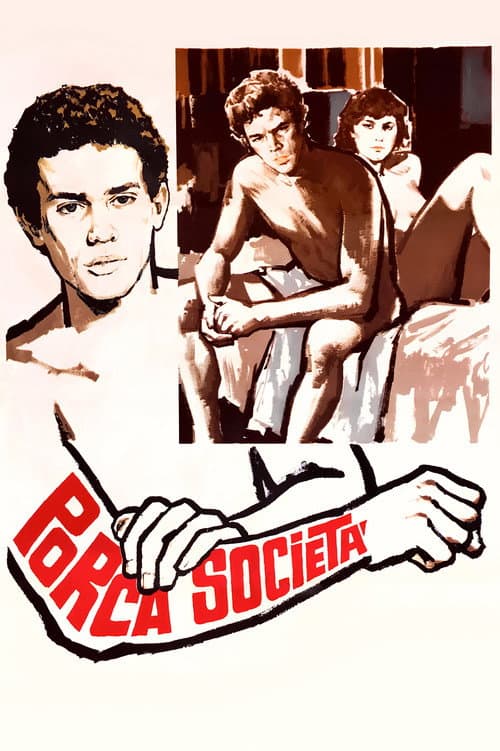 Poster for Porca società