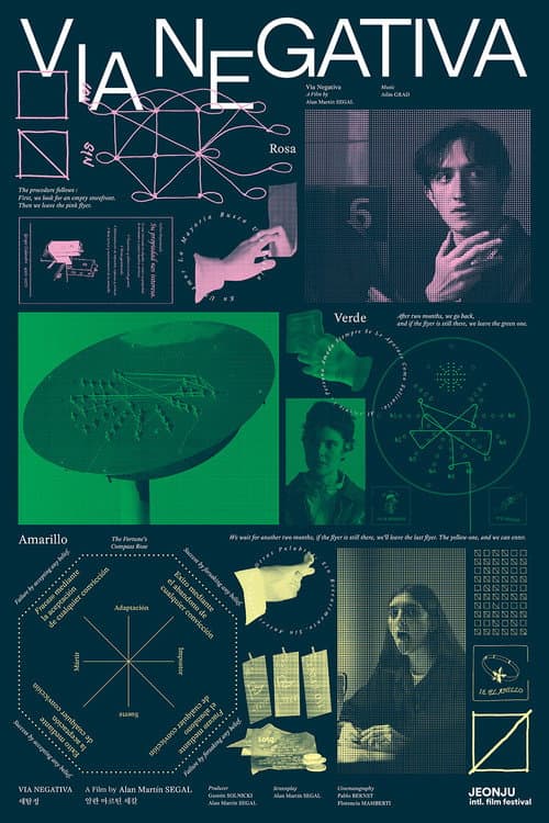 Poster for Negative Path