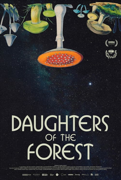 Poster for Daughters of the Forest