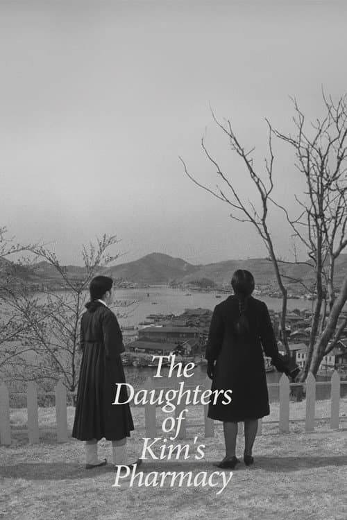 Poster for The Daughters of Kim's Pharmacy