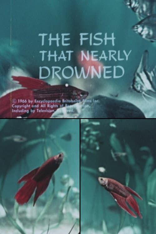Poster for The Fish That Nearly Drowned
