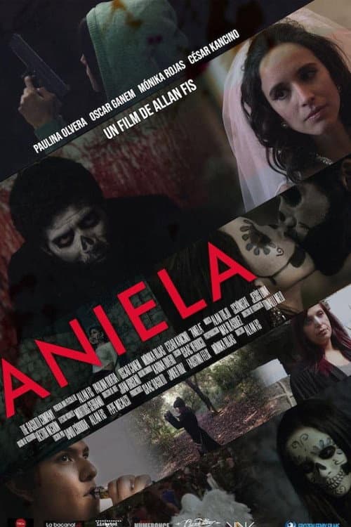 Poster for Aniela