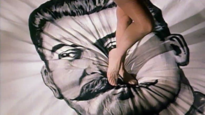 Backdrop from What Did Stalin Do to Women?