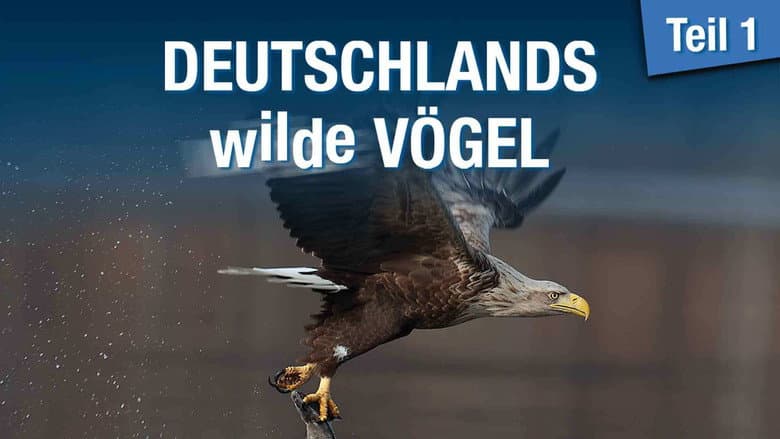 Backdrop from Deutschlands wilde Vögel